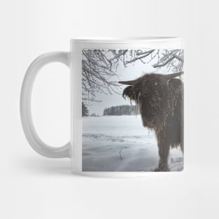 Scottish Highland Cattle Calf 1958 Mug